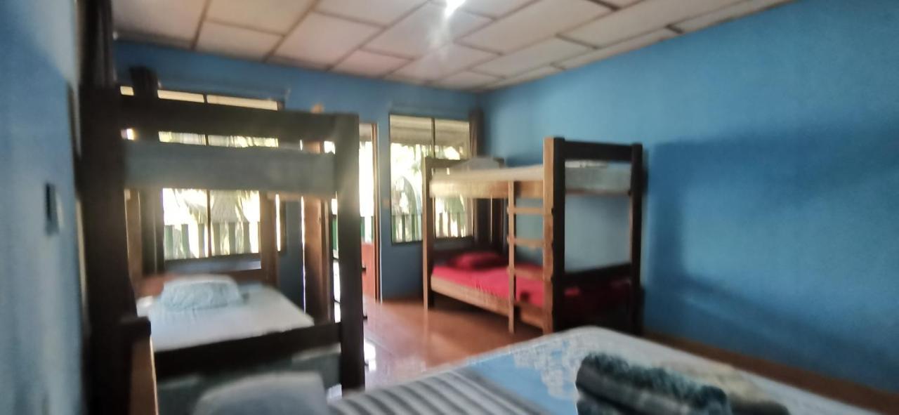 Allegra Hostel Drakes Bay エクステリア 写真